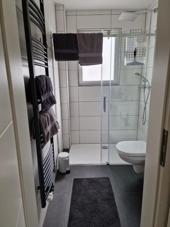 Ferienhaus Steigrhein Filsen Buitenkant foto