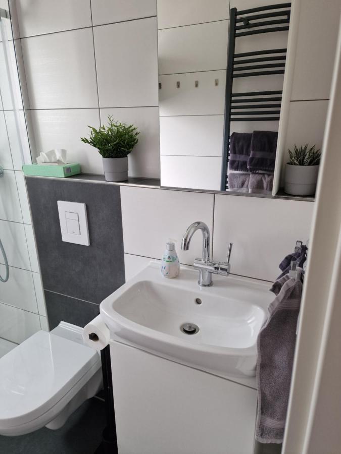 Ferienhaus Steigrhein Filsen Buitenkant foto